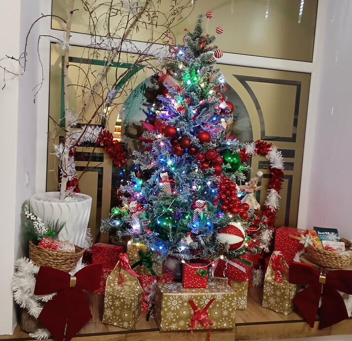 Geam Craciun 3 Geam Craciun 3