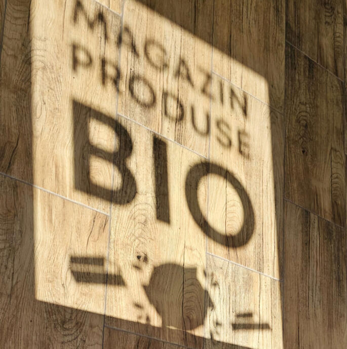 biosticker